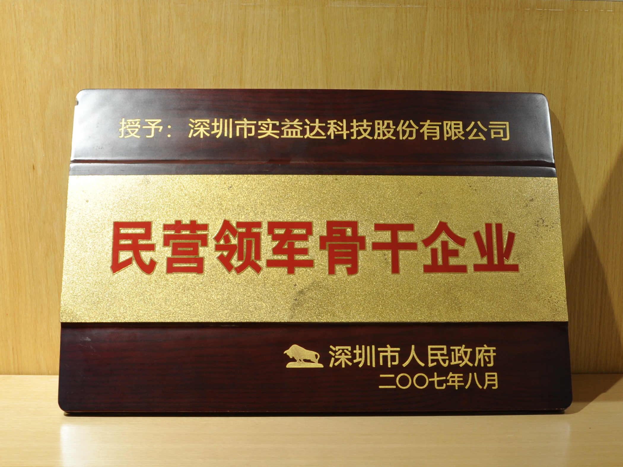 民營(yíng)領(lǐng)軍骨干企業(yè)